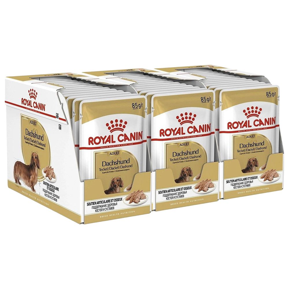 Royal Canin Dog Dachshund in Loaf pašteta 36 x 85 g