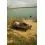 FOX CAMOLITE Sleep System Standard