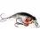 Westin BUZZBITE SR CRANKBAIT Low Floating 4cm/4g Bling Perch