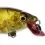 Westin BUZZBITE SR CRANKBAIT Low Floating 4cm/4g Bling Perch