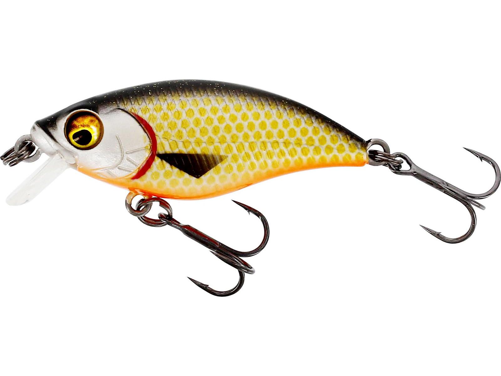 Westin BUZZBITE SR CRANKBAIT Low Floating 4cm/4g Official Roach