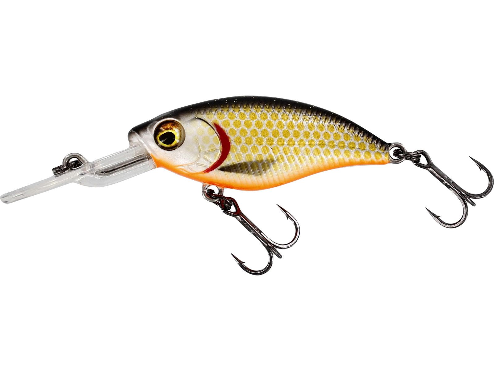 Westin BUZZBITE CRANKBAIT Suspending 6cm/10g Official Roach
