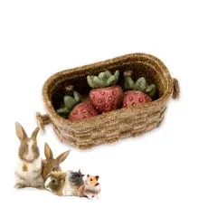 Veggie Bites BERRY - poslastica za glodavce i zečeve