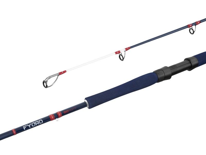 Delphin FYORD BigBOAT 220cm/300-400g