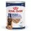 Royal Canin Maxi Adult konzerva 6 x 410 g