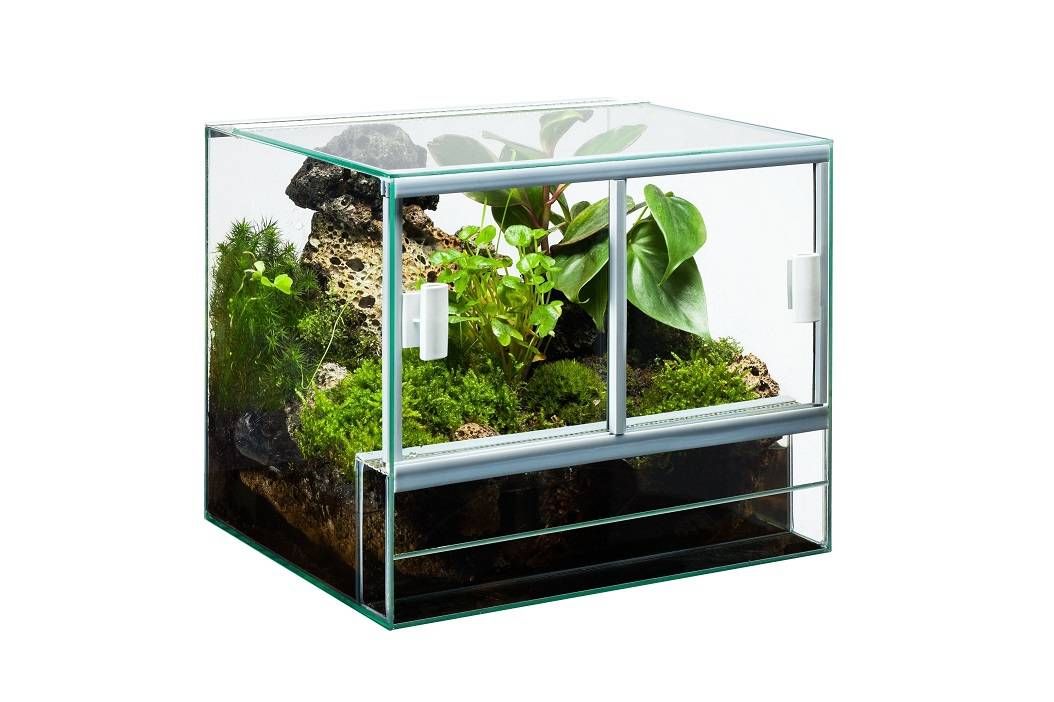 Stakleni terarij 40 x 30 x 30 cm / 36L
