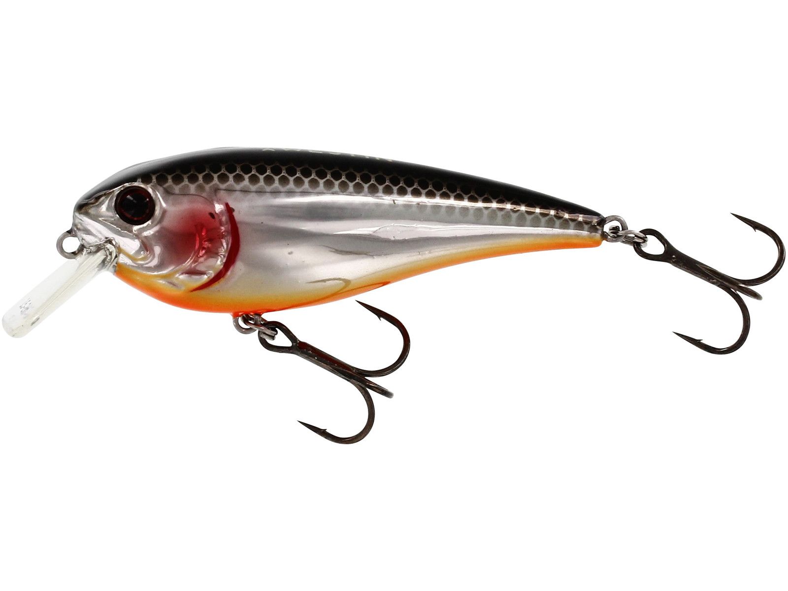 Westin RAWBITE CRANKBAIT Floating 7cm/12g Steel Sardine