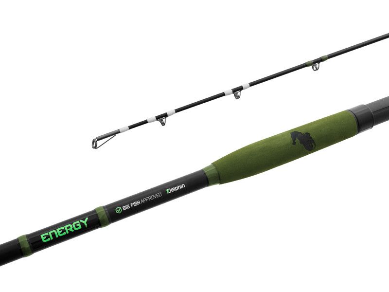 Delphin ENERGY Catfish 310cm/250-500g