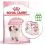 ROYAL CANIN Kitten suho krmivo za mačiće u njihovoj drugoj fazi rasta 10 kg + 12 vrećica GRATIS