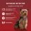 Purina ONE Mini Dog Adult vrećice za pse piletina, govedina, janjetina u umaku 10x85 g