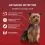 PURINA ONE MINI Pasja Aktivna Govedina i Patka u Sosu 10 x 85 g