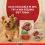 PURINA ONE MINI Pasja Aktivna Govedina i Patka u Sosu 10 x 85 g