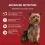 PURINA ONE MINI Pasza za pse Sensitive Losos u umaku 10 x 85 g