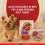 PURINA ONE MINI Pasza za pse Sensitive Losos u umaku 10 x 85 g