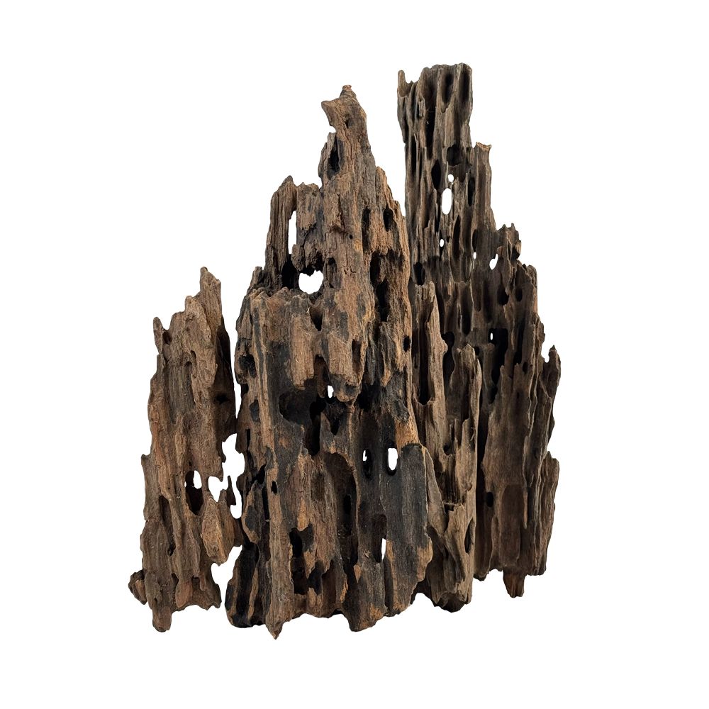 WIO Dragonscale Wood - akvarijsko drvo M
