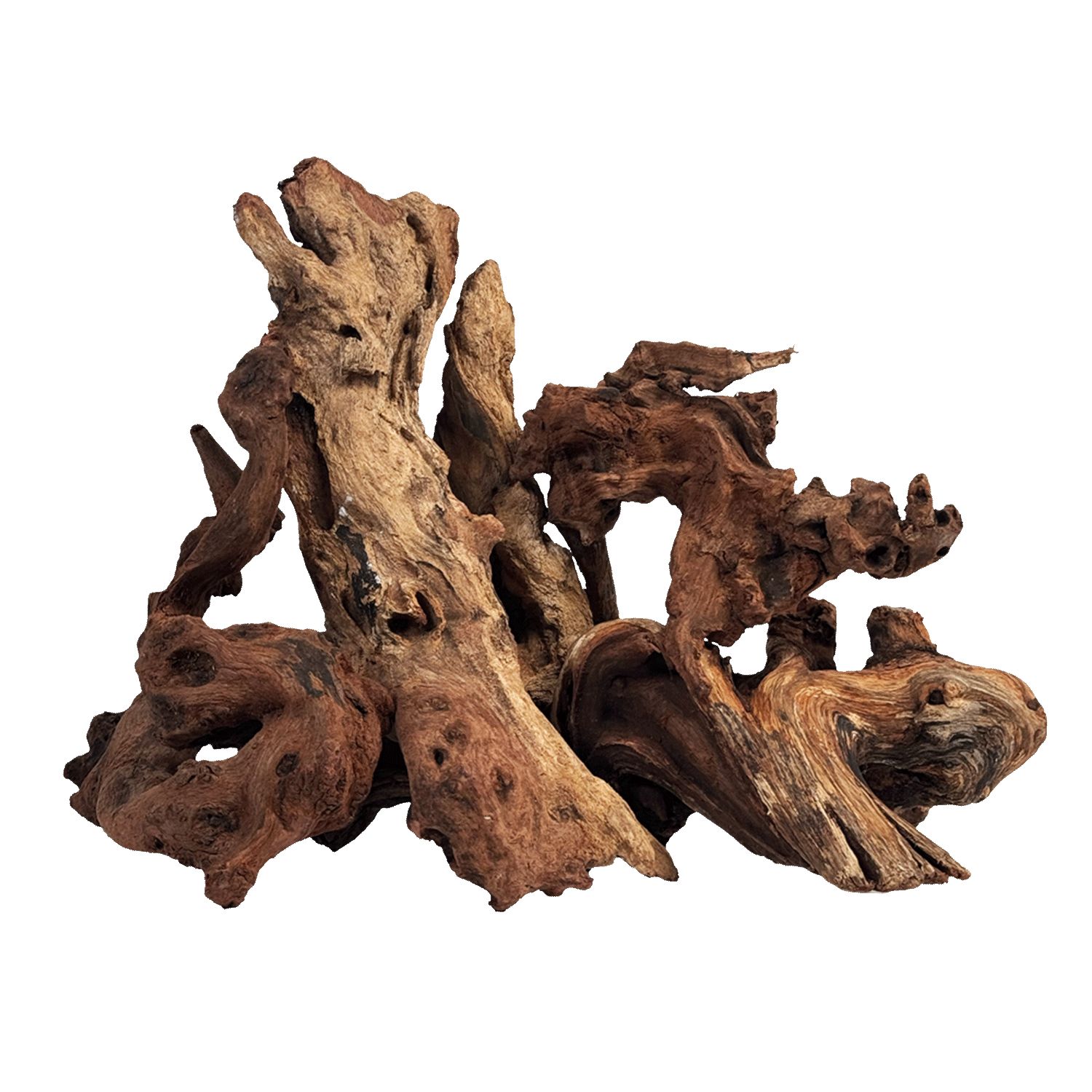 WIO Worn Wood - drvo za akvarij M