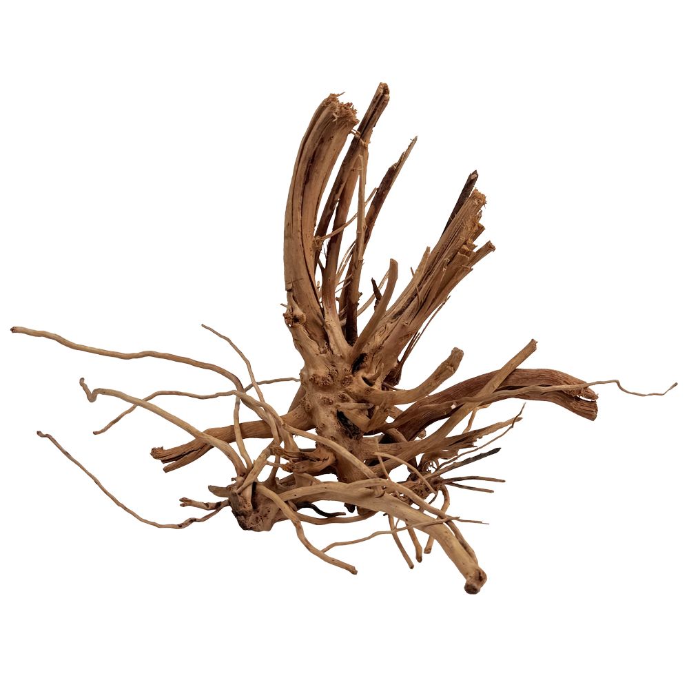 WIO Blondspider Wood - drvo za akvarij S