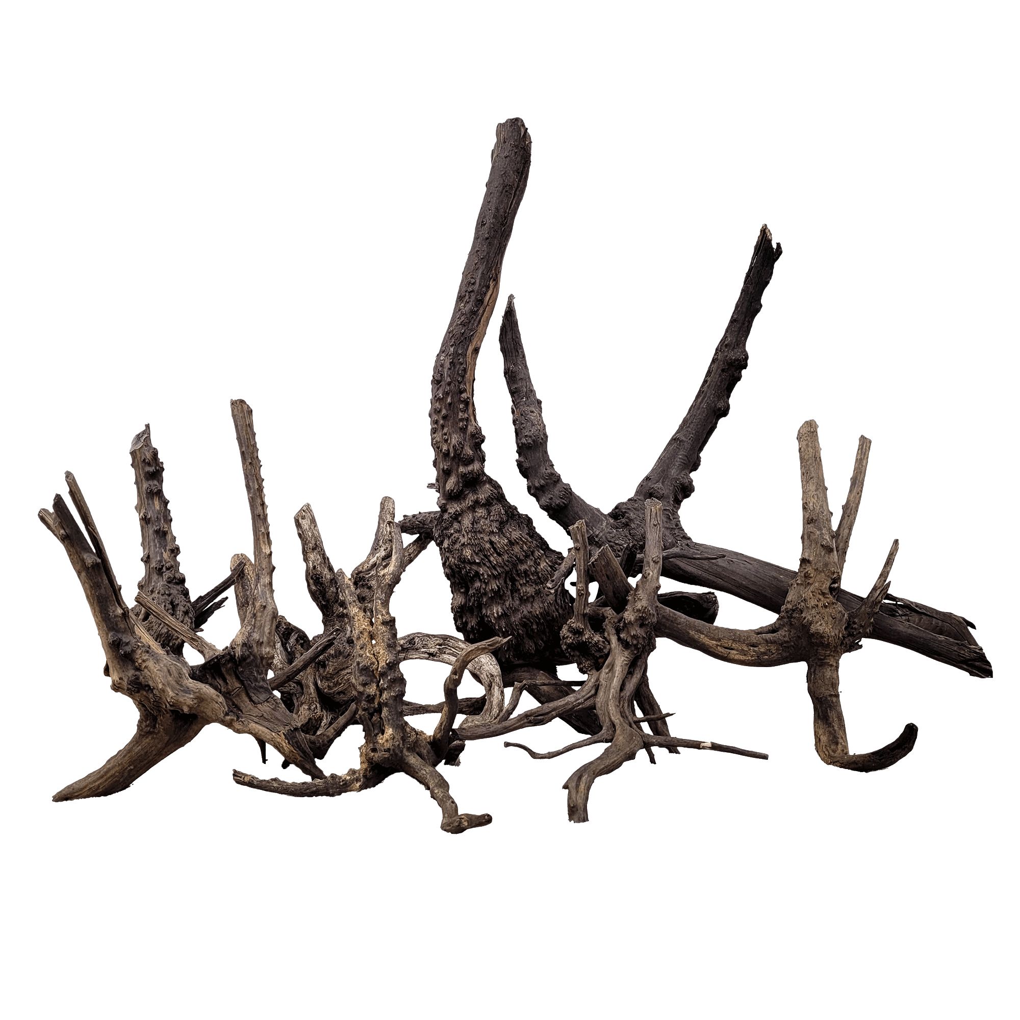WIO Black Tree Trunk Wood - drvo za akvarij M