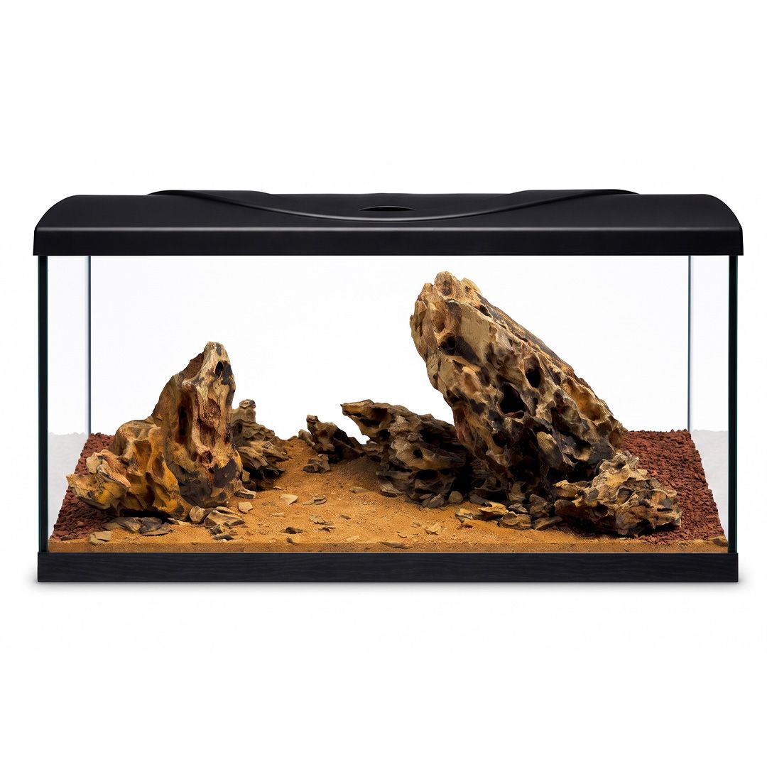 Akvarij 112l+kamenje+oprema+supstrat – Diversa STARTUP 80 LED Expert, s ravnim prednjim staklom, crni + WIO Dragon Whisper River Kit