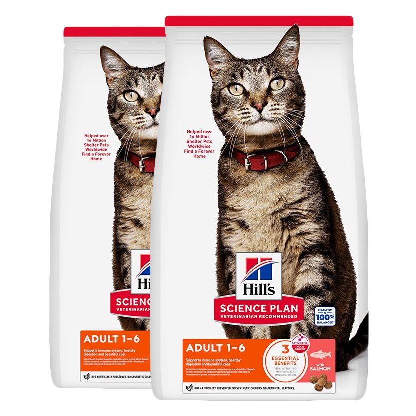Hill's Science Plan granule za odrasle mačke s lososom 2 x 10 kg
