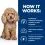 Hill's Prescription Diet Gastrointestinal Biome Mini Njega probave 6 kg + poslastice BESPLATNO