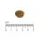 Eminent Selection Adult Cat Poultry 10+4 kg BESPLATNO