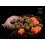 Delphin BreaX / SeaKER Squid-Salmon 24mm/300g