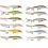 Rapala Wobler X-Rap 10 FTU 10cm/13g