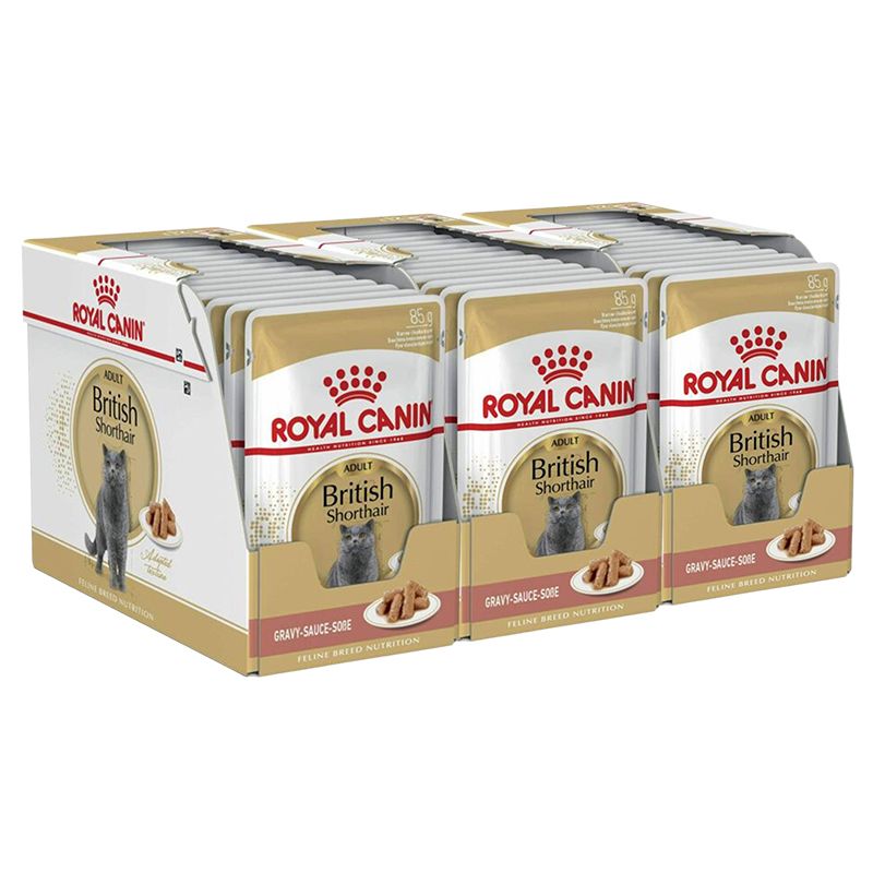 Royal Canin British Shorthair konzerva za britske kratkodlake mačke u umaku, 36 x 85 g