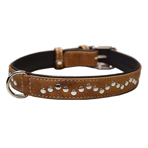 Kožni ovratnik s metalnom aplikacijom - 38 - 49cm, 25mm - smeđi