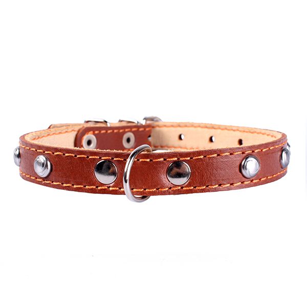 Kožni ovratnik s metalnom dekoracijom - 27 - 35cm, 14mm - smeđi