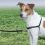 Postroj protiv povlačenju EasyWalk Harness s povodcem - M, crni