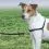 Postroj protiv povlačenju EasyWalk Harness s povodcem - M, crni