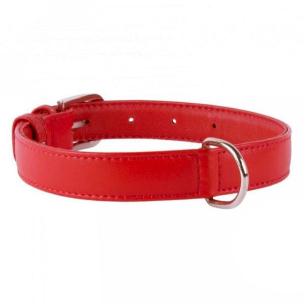 Ravni kožni ovratnik crveni 27 - 36cm, 15mm