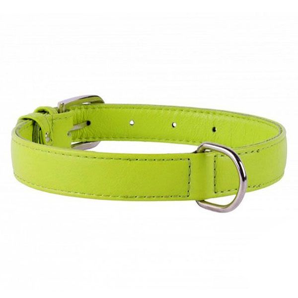 Ravni kožni ovratnik zeleni 30 - 39cm, 20mm