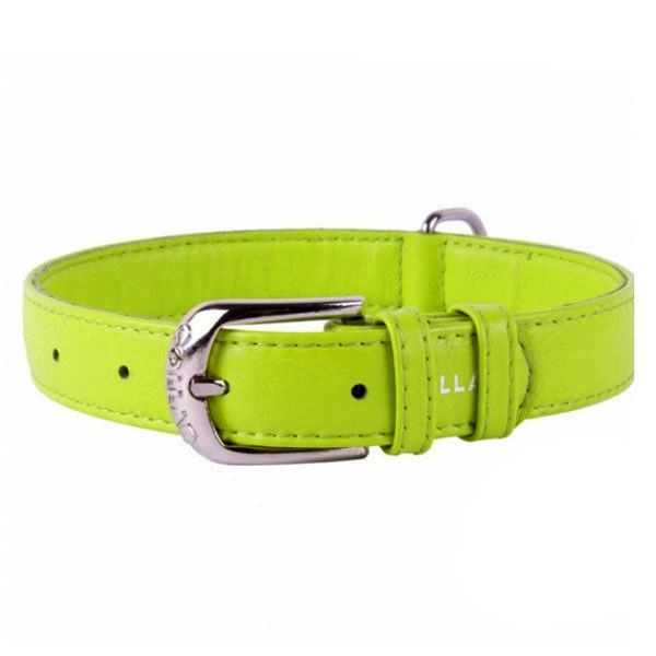 Ravni kožni ovratnik zeleni 38 - 49cm, 25mm
