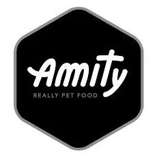 AMITY