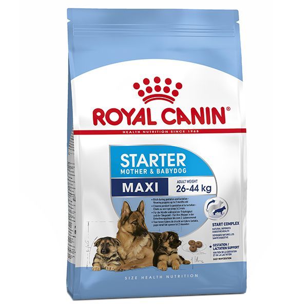 Royal Canin Maxi Starter Mother&Babydog 4 kg