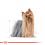 ROYAL CANIN Yorkshire Adult suho krmivo za odrasle jorkširske terijere 7,5 kg