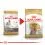 ROYAL CANIN Yorkshire Adult suho krmivo za odrasle jork&scaron;irske terijere 1,5 kg