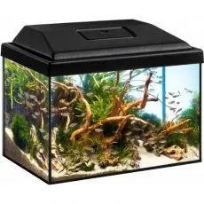 Akvarium DIVERSA STARTUP SPLASH 12L + 3W LED