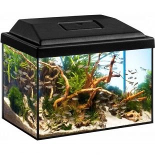 Akvarium DIVERSA STARTUP SPLASH 12L + 3W LED