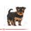 ROYAL CANIN Yorkshire Puppy suho krmivo za štene jorkširskog terijera 1,5 kg