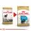ROYAL CANIN Yorkshire Puppy suho krmivo za &scaron;tene jork&scaron;irskog terijera 1,5 kg