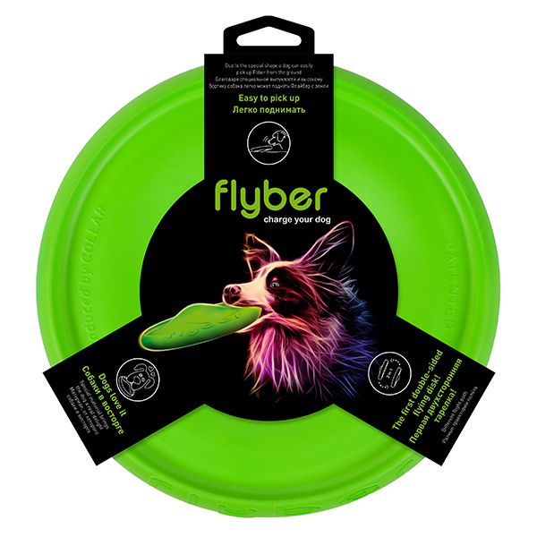Leteći tanjur FLYBER