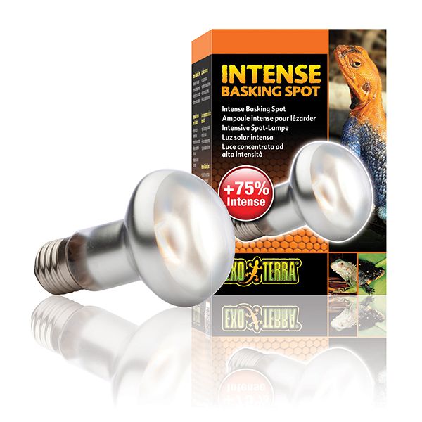 Žarulja EXOTERRA INTENSE BASKING SPOT 50W