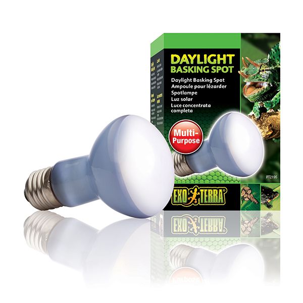 Žarulja EXOTERRA DAYLIGHT BASKING SPOT 100W