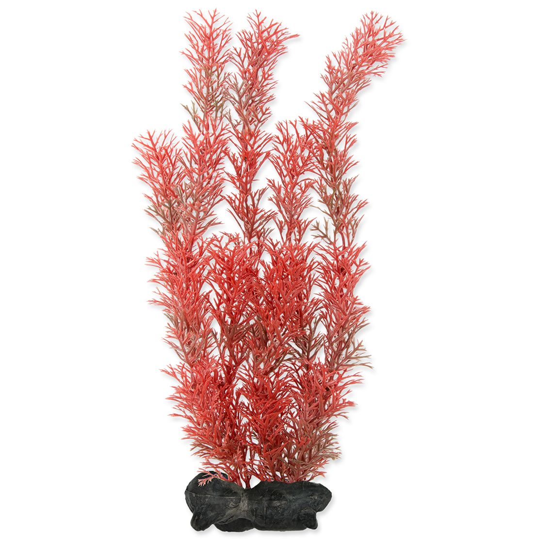 Myriophyllum heterophyllum (Crvena lisnata repica) - biljka Tetra 30 cm, L