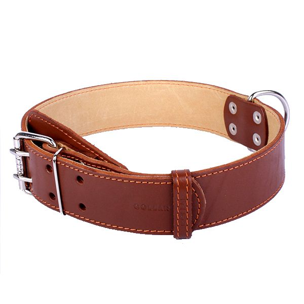 Kožni ovratnik dvostruki - 57 - 69 cm, 45 mm - smeđi bež
