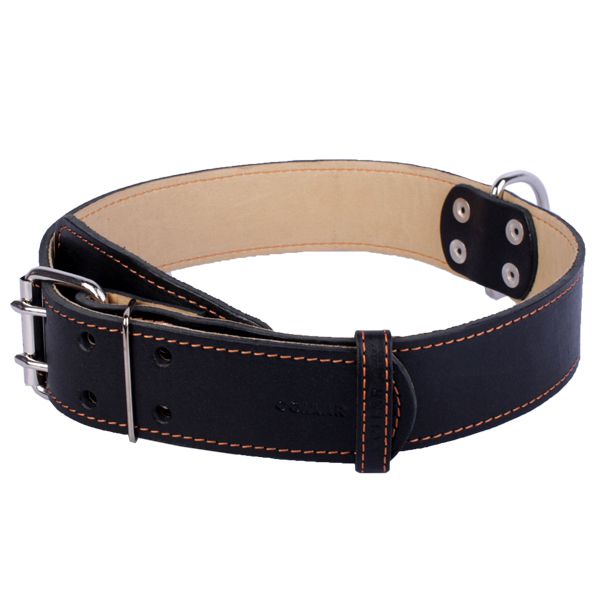 Kožni ovratnik dvostruki - 57 - 69 cm, 45 mm - crno-bež boja